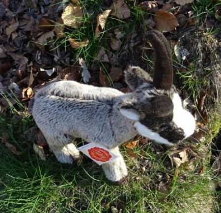 Kamzík Engi, Teddy Hermann Hirschaid